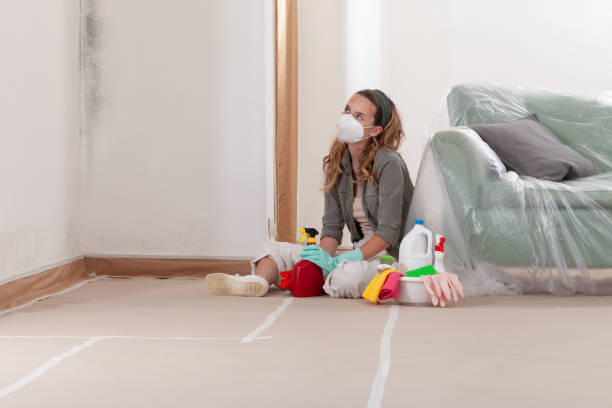 Reliable Mold Cleanup contractor in Greensboro, NC by Cheap Mold Removal